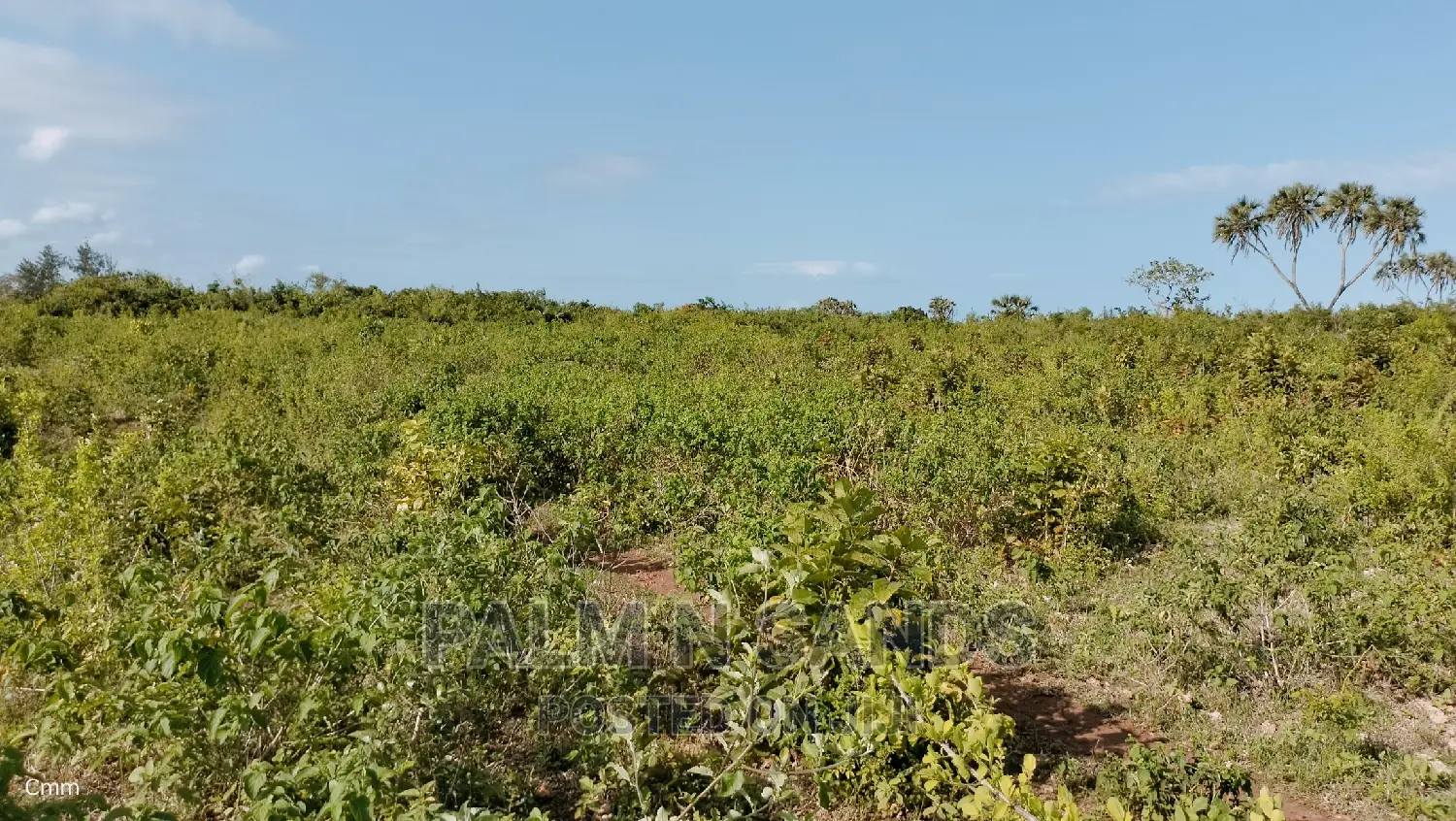 Galu Quarter Acre Prime Plots
