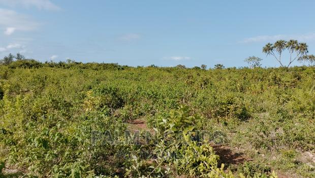 Galu Quarter Acre Prime Plots - thumbnail 5