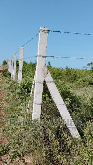 Galu Quarter Acre Prime Plots