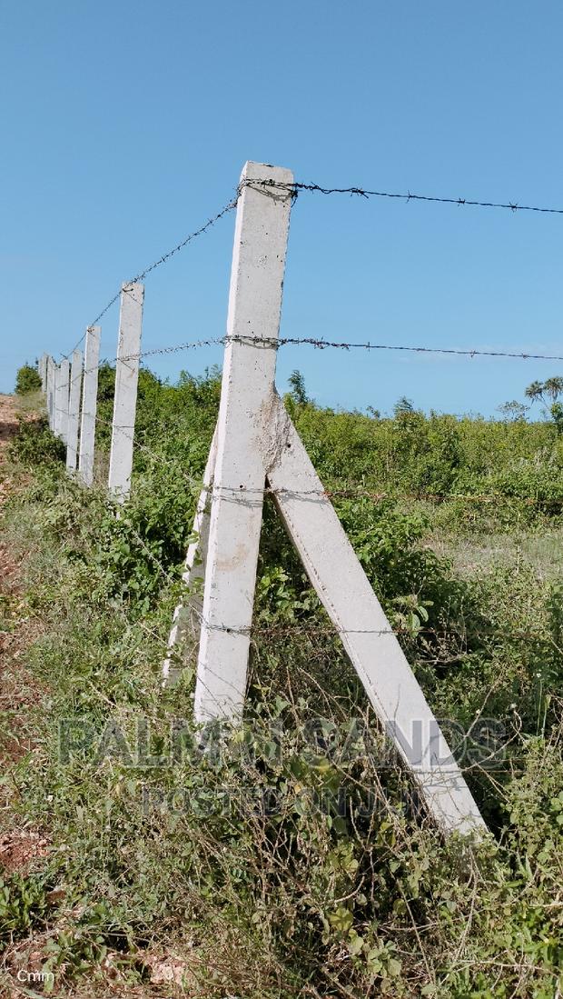 Galu Quarter Acre Prime Plots - thumbnail 3