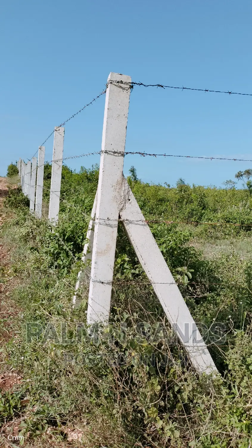 Galu Quarter Acre Prime Plots