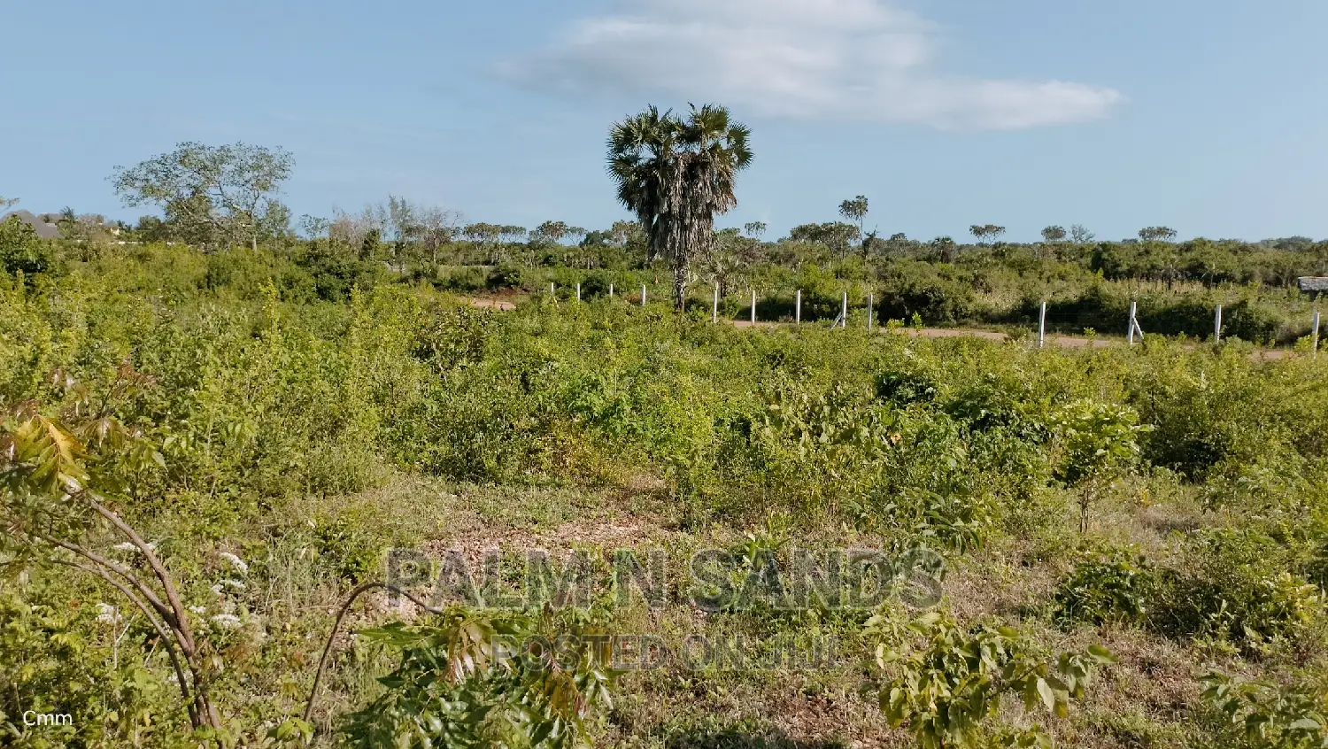 Galu Quarter Acre Prime Plots