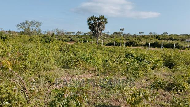 Galu Quarter Acre Prime Plots - thumbnail 6