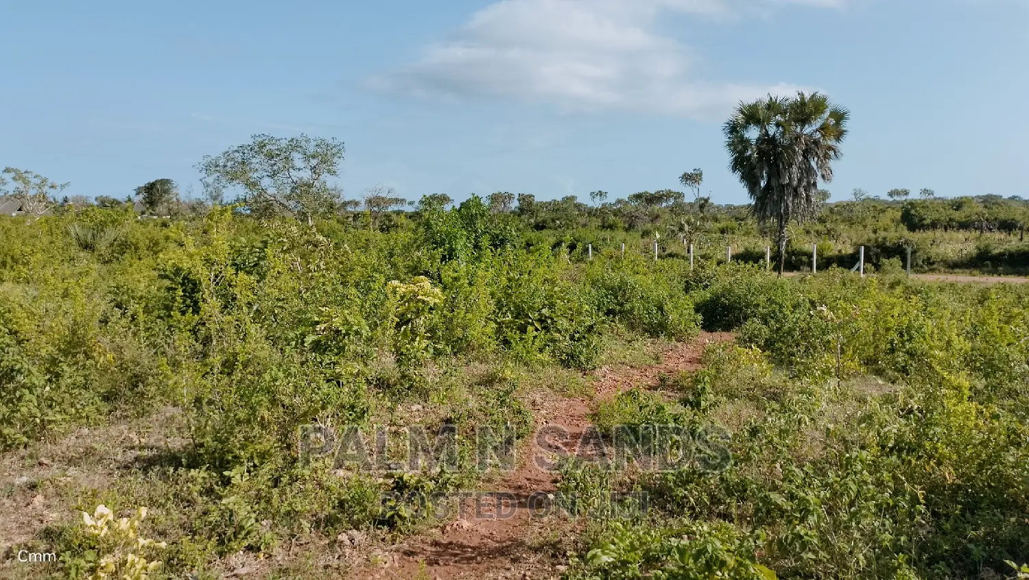 Galu Quarter Acre Prime Plots