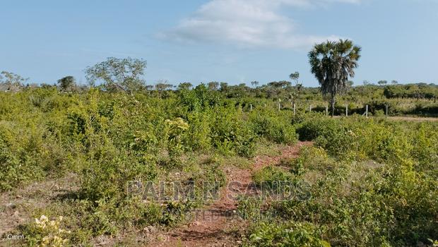 Galu Quarter Acre Prime Plots - thumbnail 7