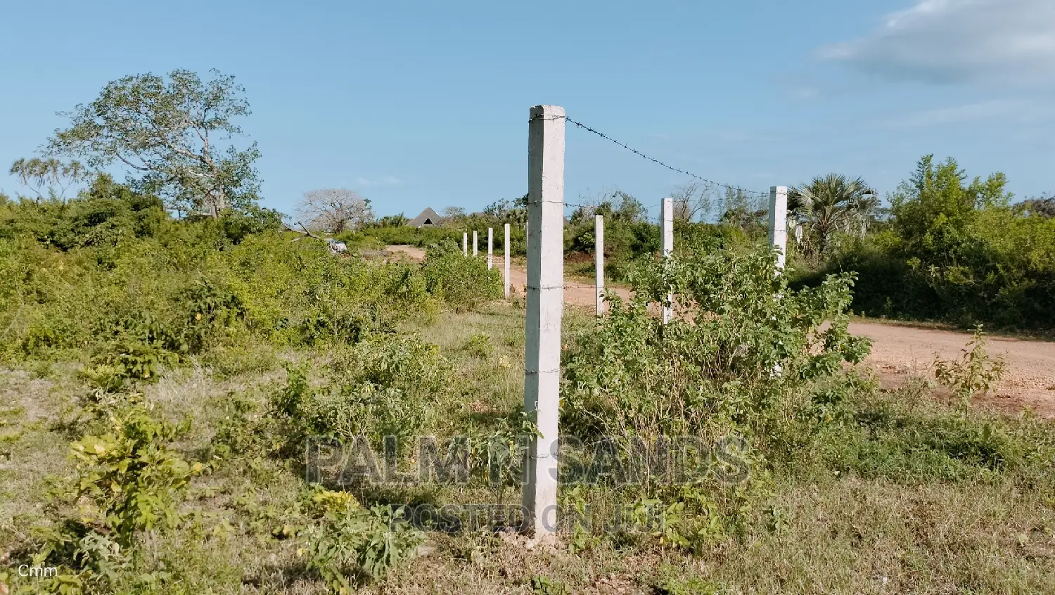 Galu Quarter Acre Prime Plots
