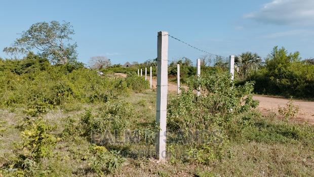 Galu Quarter Acre Prime Plots - thumbnail 4