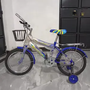 Bike Size 16