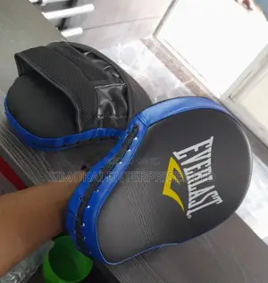 Everlast Blue Boxing Pads