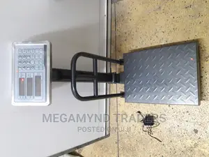 150kg Digital Platforms Weighing Scale/Weighing Scale