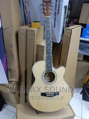 Acoustic Guitar Ibanez 40s