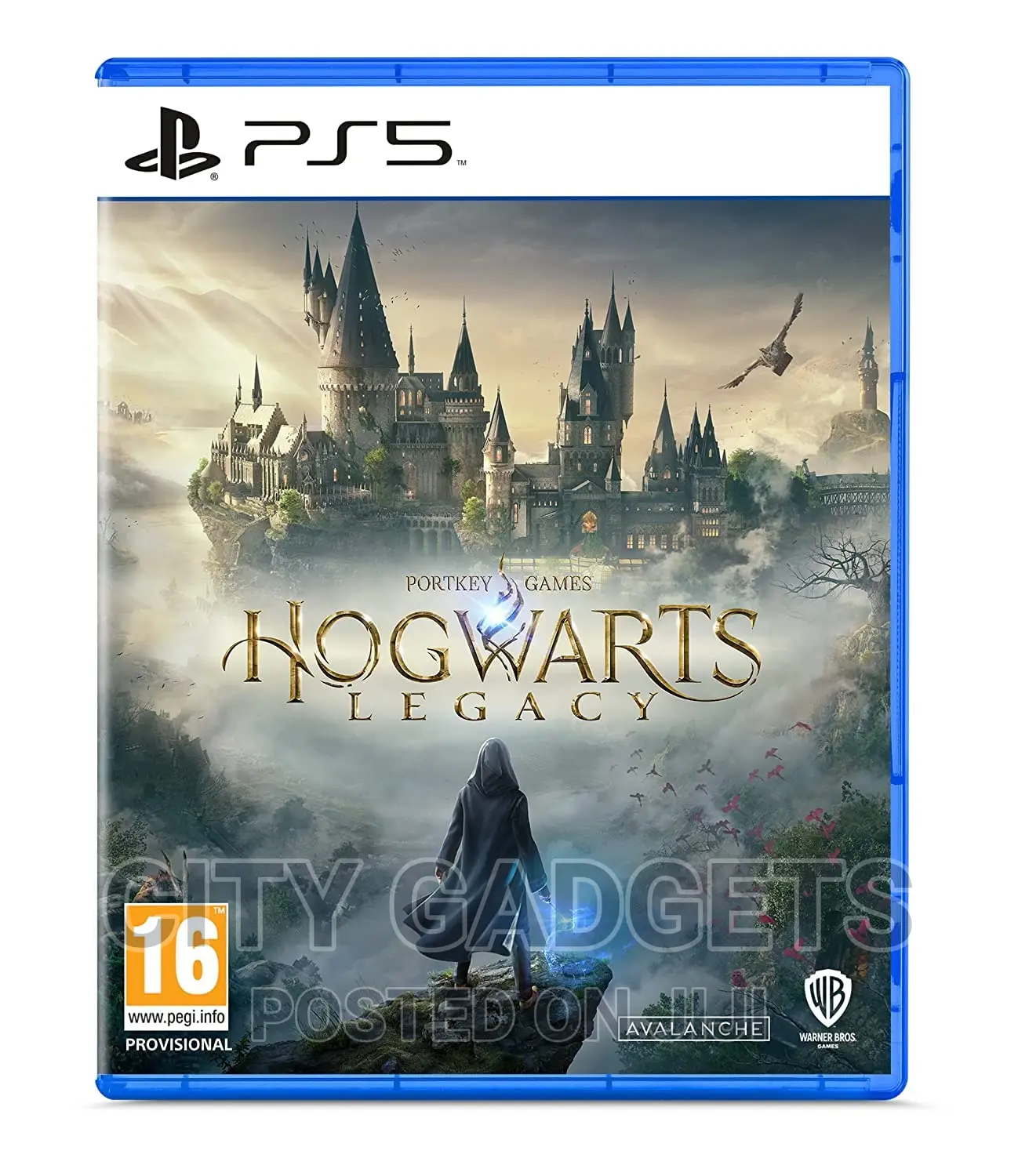 Hogwarts Legacy - Playstation 5 | English | EU Import Region