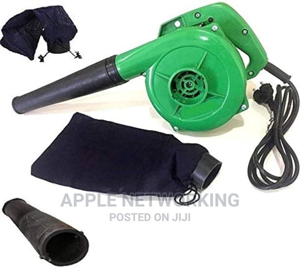 Lion Lashb-530b Blower - main view