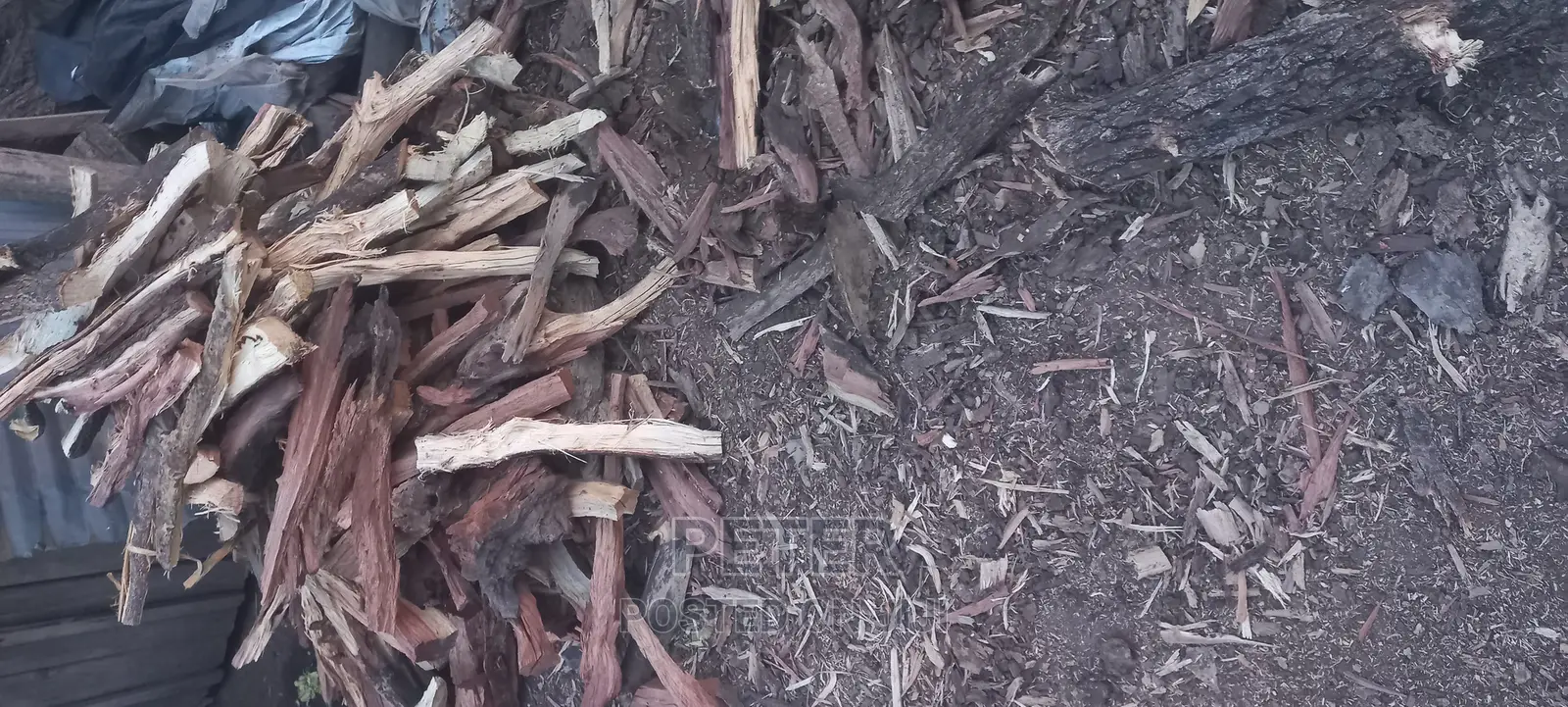 Indigenous Firewood