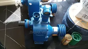 Bare Pump 2" 55m 50bpz-55