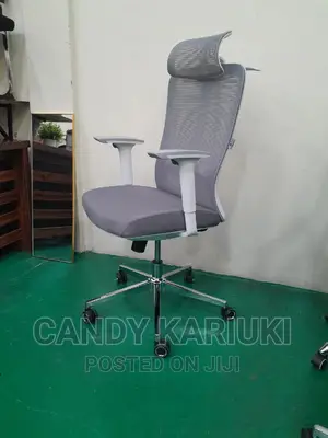Best Quality Orthopaedic Office Chair