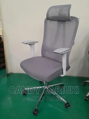 Ideal Orthopaedic Office Chair