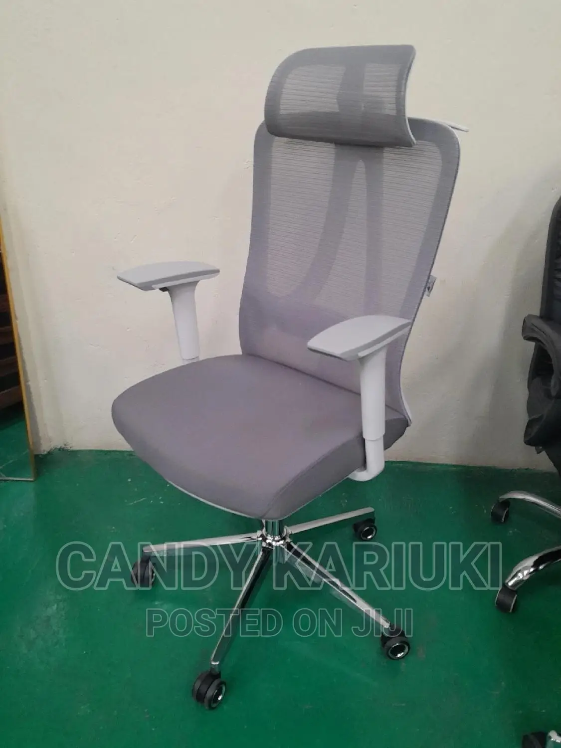 Orthopaedic Executive Office Chair
