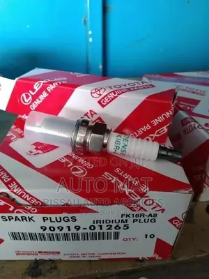 Fxe20hr11 Sprak Plug for Nissan