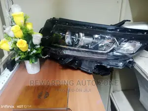 Prado 165 Headlight Xenon Black Shed.
