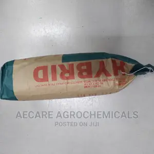 Hybrid Maize Seeds H513 2kg