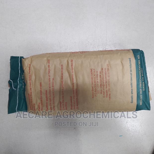 Hybrid Maize Seeds H513 2kg - thumbnail 4