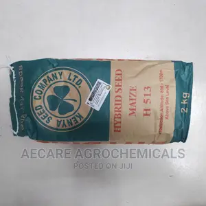 Hybrid Maize Seeds H513 2kg