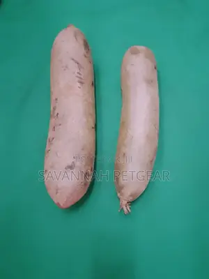 Fresh Kigelia Africana Fruit - Muratina Fruit