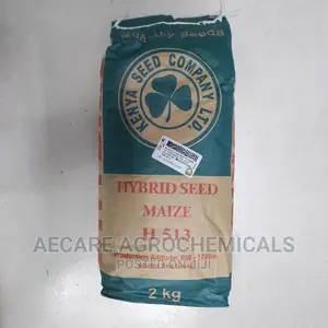 Hybrid Maize Seeds H513. 2kgs