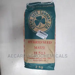 Hybrid Maize Seeds H513. 2kgs