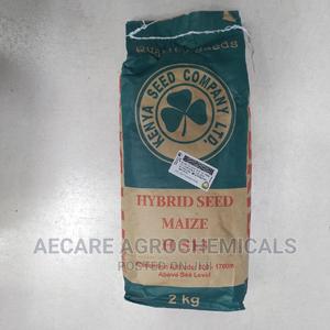 Hybrid Maize Seeds H513. 2kgs - thumbnail 2