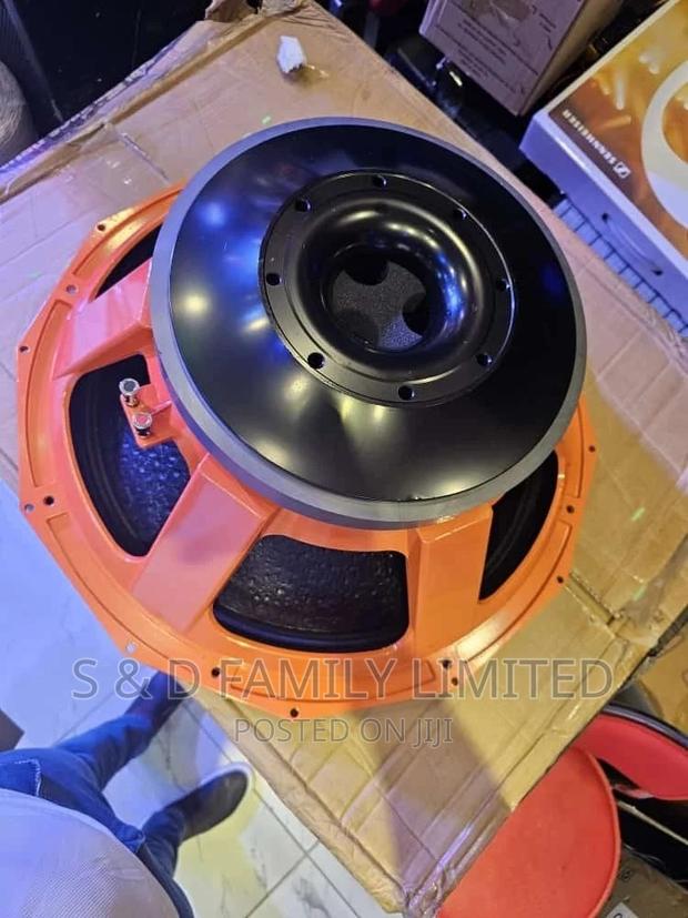 PD 21 Inches Naked Speaker