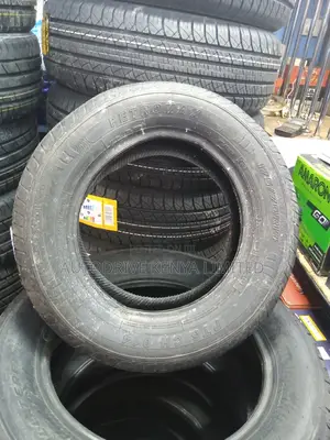 175/70r14 Petromax Tyre