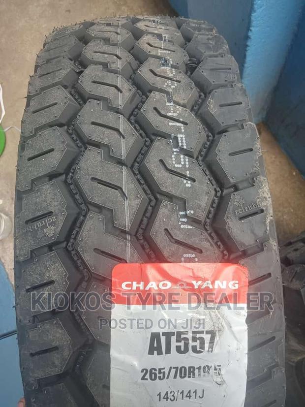 265/70r19.5 Chaoyang Tire