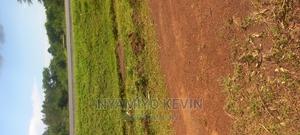 Bondo Maranda - thumbnail 2