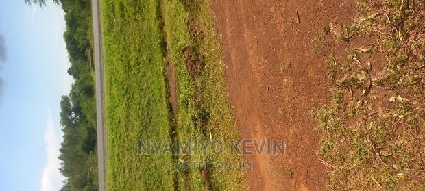 Bondo Maranda - main view