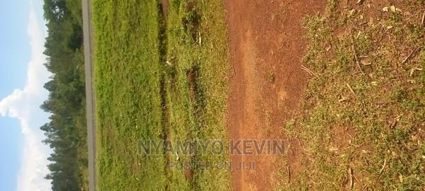 Bondo Maranda - thumbnail 3