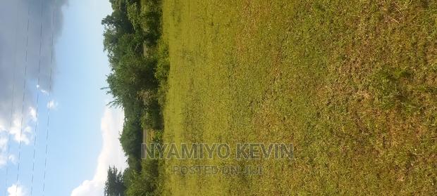 Bondo Maranda - thumbnail 4