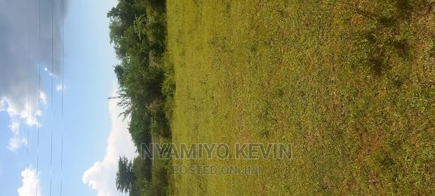 Bondo Maranda - thumbnail 5