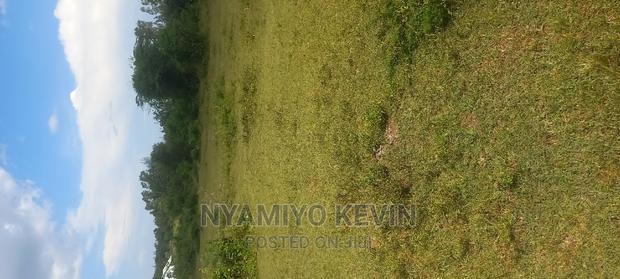 Bondo Maranda - thumbnail 6