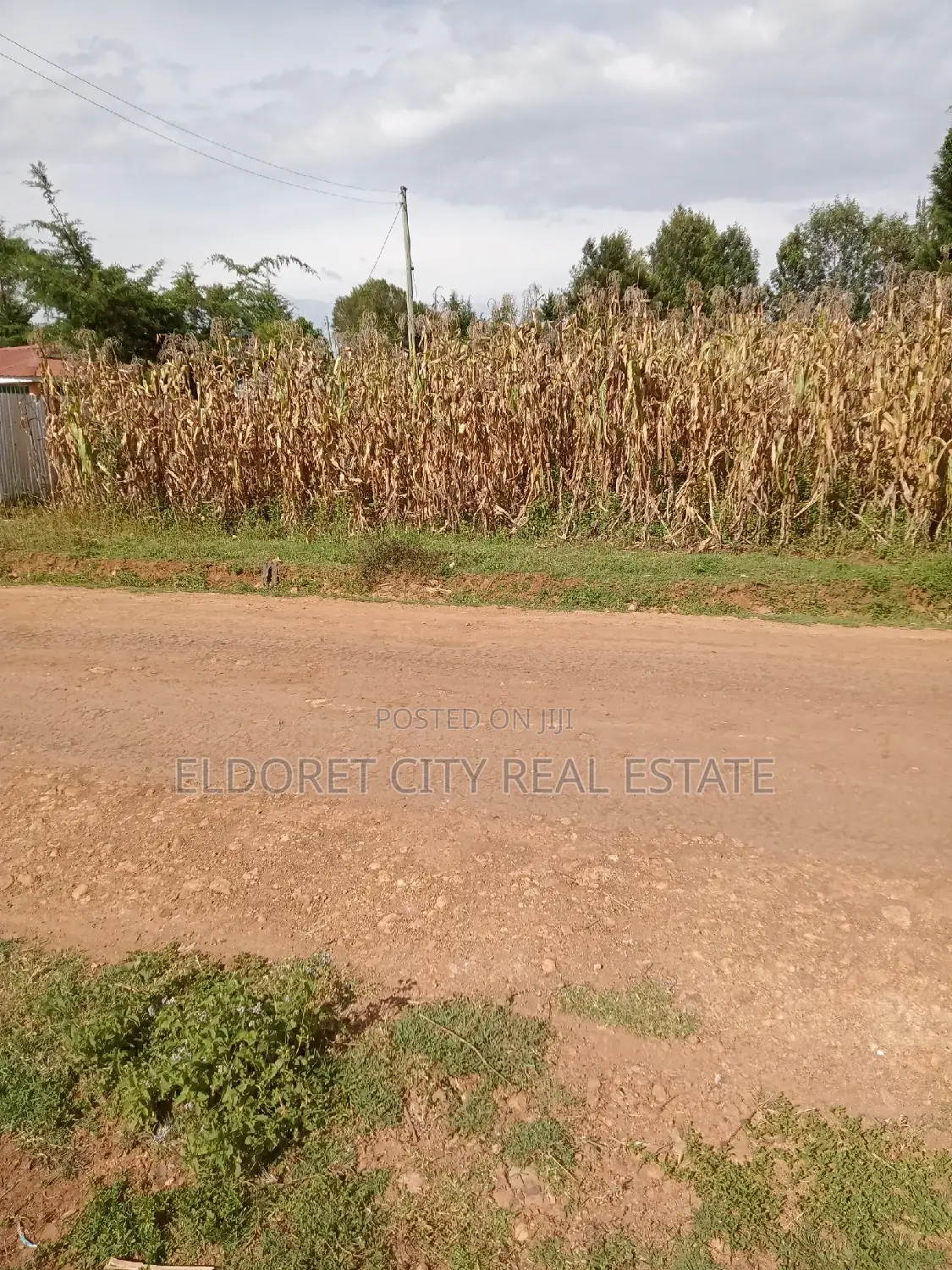 1/8 Plot Outspan With Title Less Than 300metres