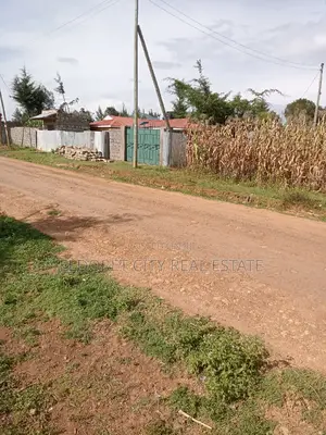 1/8 Plot Outspan With Title Less Than 300metres