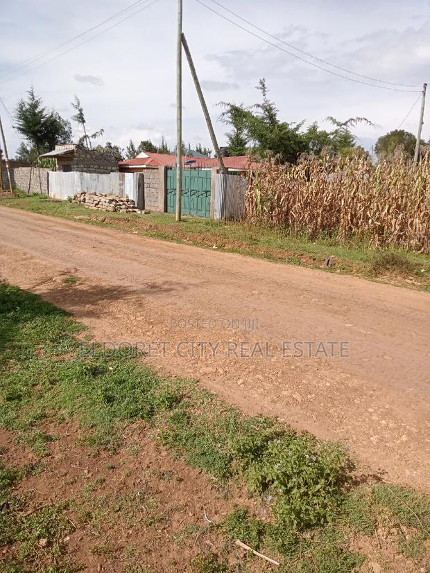 1/8 Plot Outspan With Title Less Than 300metres - thumbnail 2