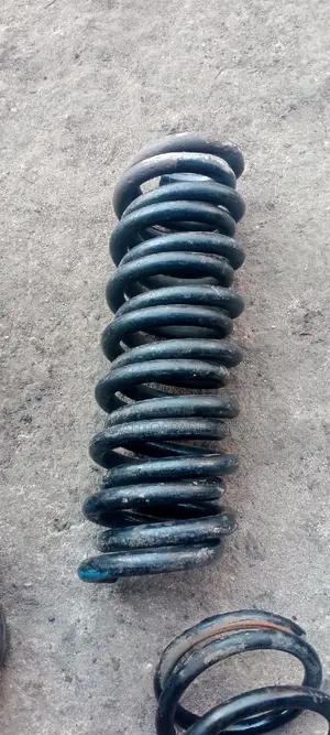 Toyota Probox Rear Heavy-Duty Springs