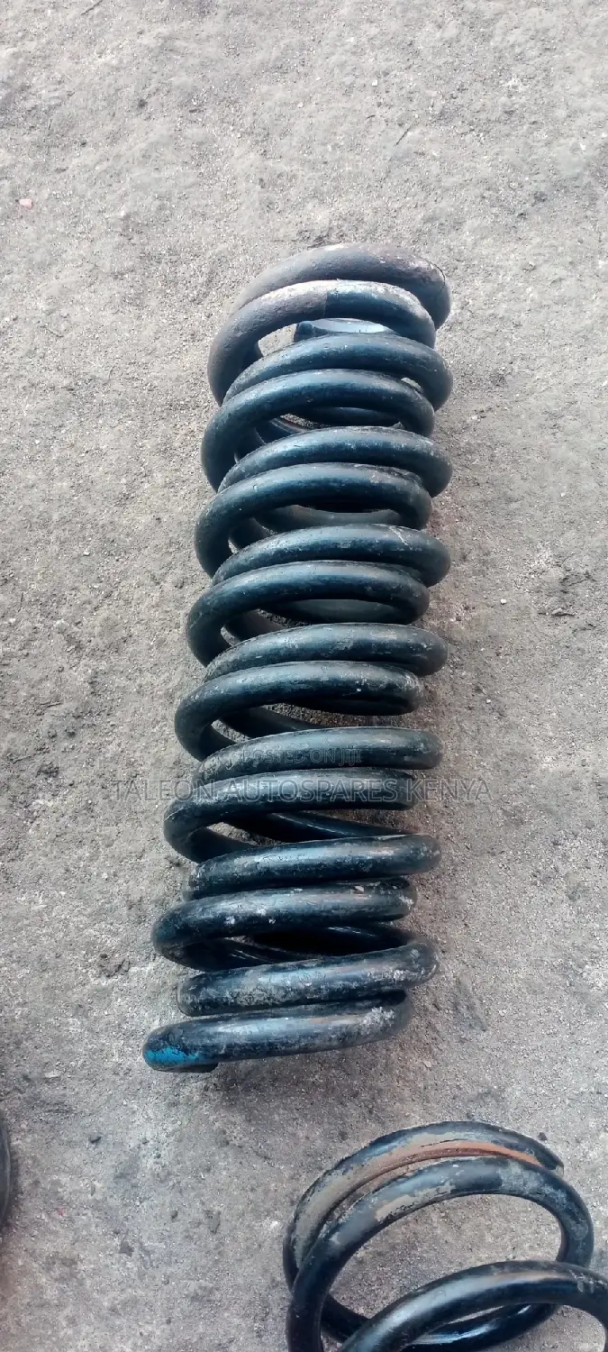 Toyota Probox Rear Heavy-Duty Springs