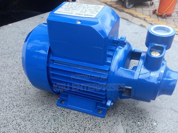 Primoo Italy Water Pump Available - main view