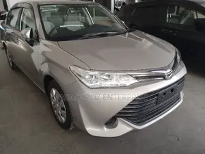 Toyota Axio 2016 Gray