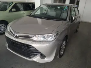 Toyota Axio 2016 Gray