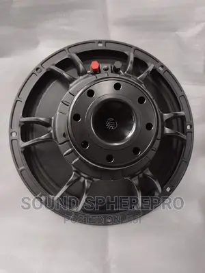 Neodymium 10 Inch Naked Speaker