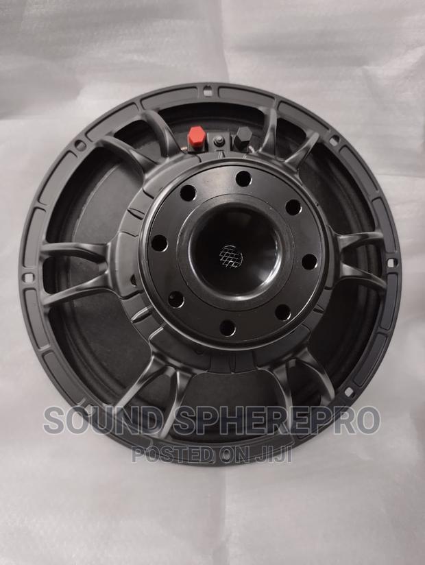 Neodymium 10 Inch Naked Speaker - main view